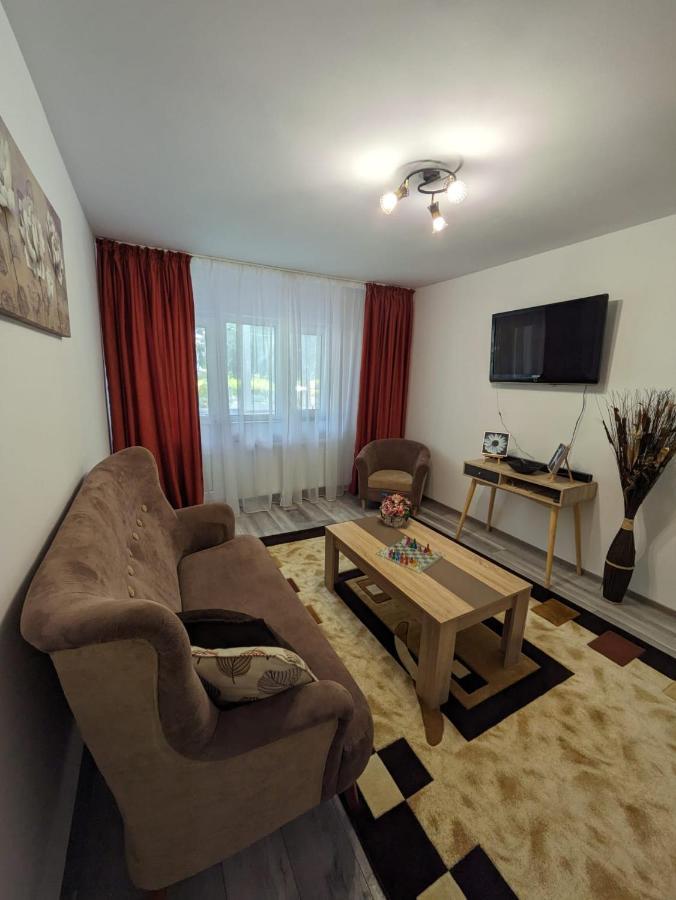 Apartamentul Alfa Slanic Moldova Luaran gambar