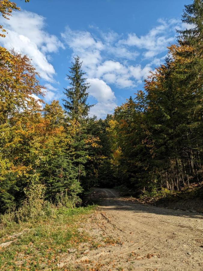 Apartamentul Alfa Slanic Moldova Luaran gambar